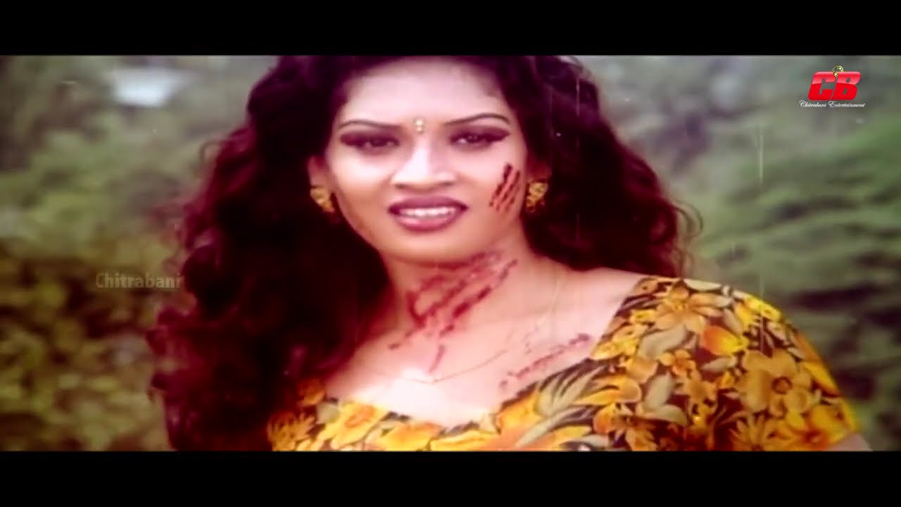 Porno disklar uchun DVD panellari Keksa va yoshlar porno galereyasi