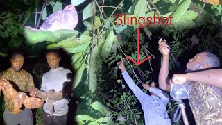 Slingshot Hunt For Dove At Night Deep In The Forest Catch And Cook screenshot 3