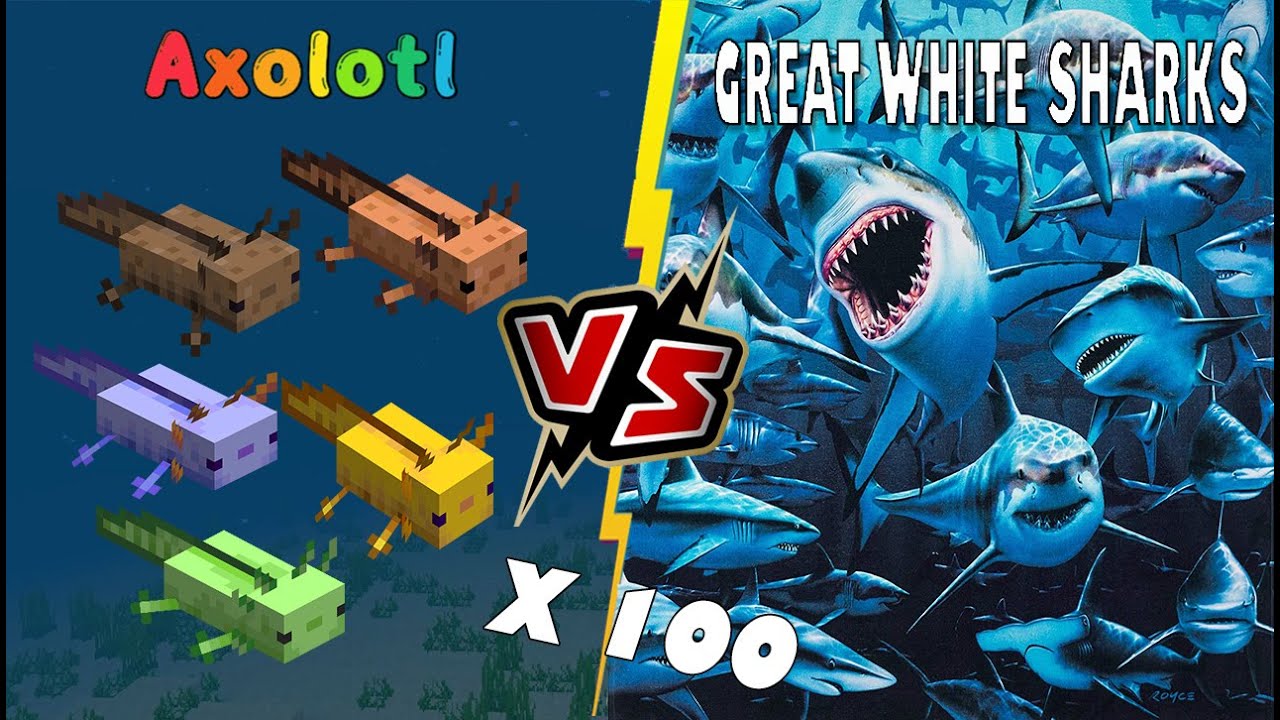 100 Axolotl VS 100 Great White Sharks (AXOTOLS BEAT SHARKS?) [Minecraft PE]