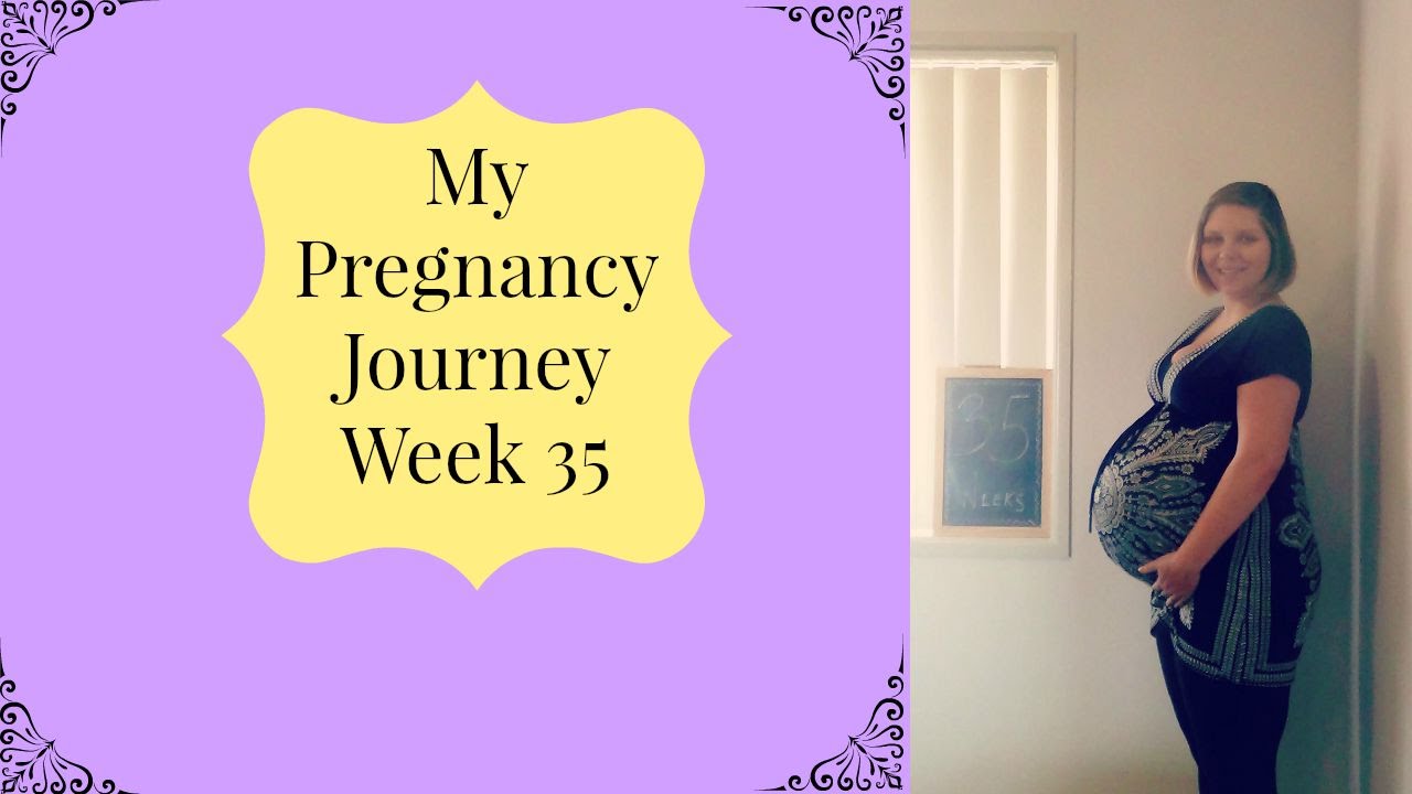 my pregnancy journey