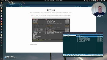CMUS music player for the terminal
