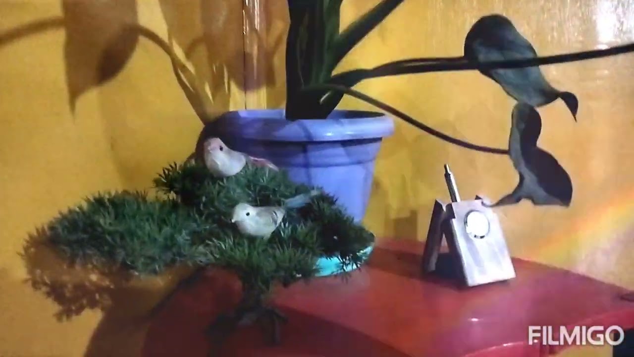 Lungchuk যাত্রা