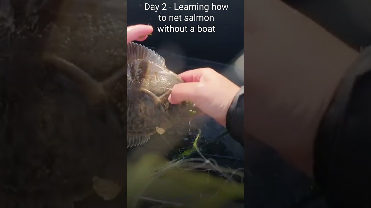 Day 2 - Learning How to Net Salmon.