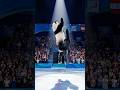 Panda & Gorilla Ice Skating Showdown | Epic Olympic Rink Performance #shorts | Ai