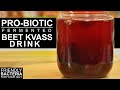 Beet Kvass Drink | Beetroot Kvass | Probiotic Drink | Beetroot Juice |ChefHarpalSingh & Danashree