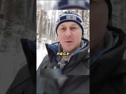 Он использует детей как приманку 🐻🏕️👶