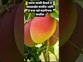 #popular #motivation #shortvideo #viralvideo shree Swami Samarth 🙏🌹🌸