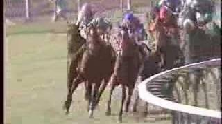 1986 Breeders' Cup Turf