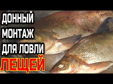 ДОННЫЙ МОНТАЖ для ЛОВЛИ ЛЕЩЕЙ Отличная,Рабочая Снасть для Ловли Леща #дмитрийбуторов