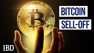 Bitcoin Drops 50% — Experts Say This Time Is Different