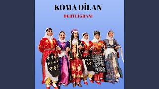Baslı Ağır Delilo