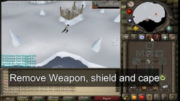 2 musical birds. Dig in front of the spinning light. (OSRS Master clue)