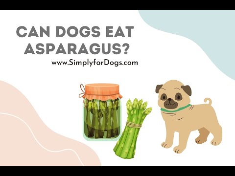 Asparagus: Can Dogs Eat It? [Upd. 2 days ago]