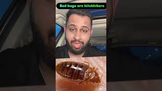 Inspecting your mattress is one of the first steps in identifying a bed bug problem.