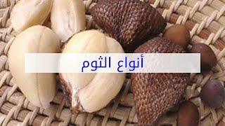 أنواع الثوم