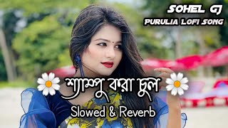 Shampoo Kora Chul | শ্যাম্পু করা চুল | Slowed & Reverb | Meera Das | Purulia Lofi Song | Sohel Gj