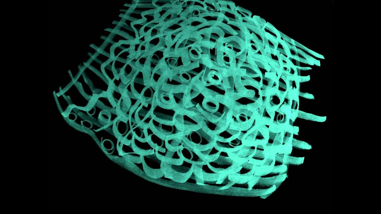 Animación Cesta de peces - By Aranas Tv