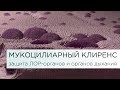 МУКОЦИЛИАРНЫЙ КЛИРЕНС – защита ЛОР-органов и органов дыхания