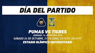 Pumas vs Tigres, frente a frente: Liga MX