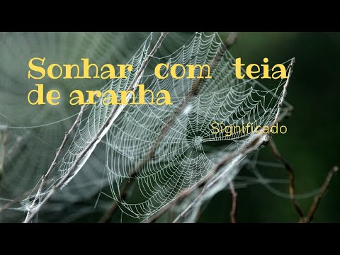 Vídeo: Por que a teia de aranha sonha em um sonho para uma mulher e um homem