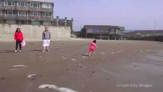 Oregon Coast Festivals & Time Lapse Video by TheOregonHerald 41 views 10 years ago 1 minute, 31 seconds