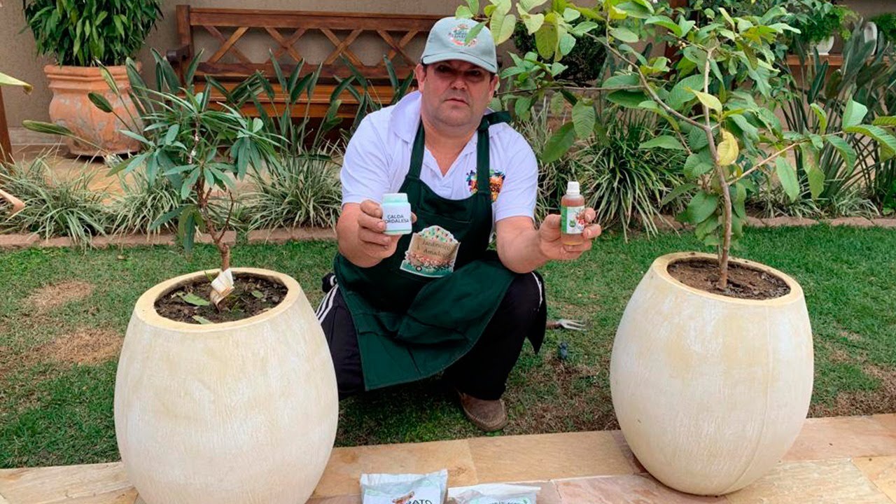 Pragas nas Frutíferas | Como Combater no Pomar em Casa