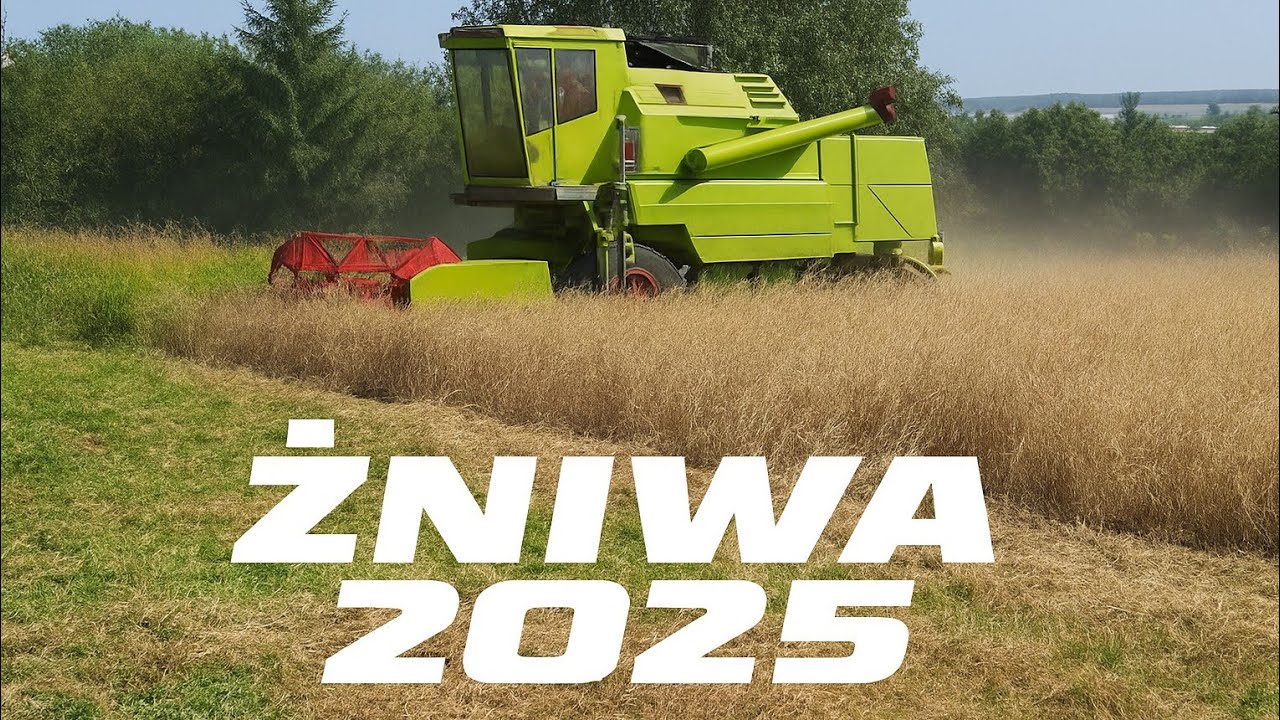 Claas MERCATOR 50 (ŻNIWA 2025) #claas
