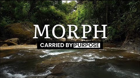 Morph: Carried By Purpose