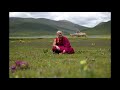 Les chemins spirituels  travers les matres tibtains avec matthieu ricard