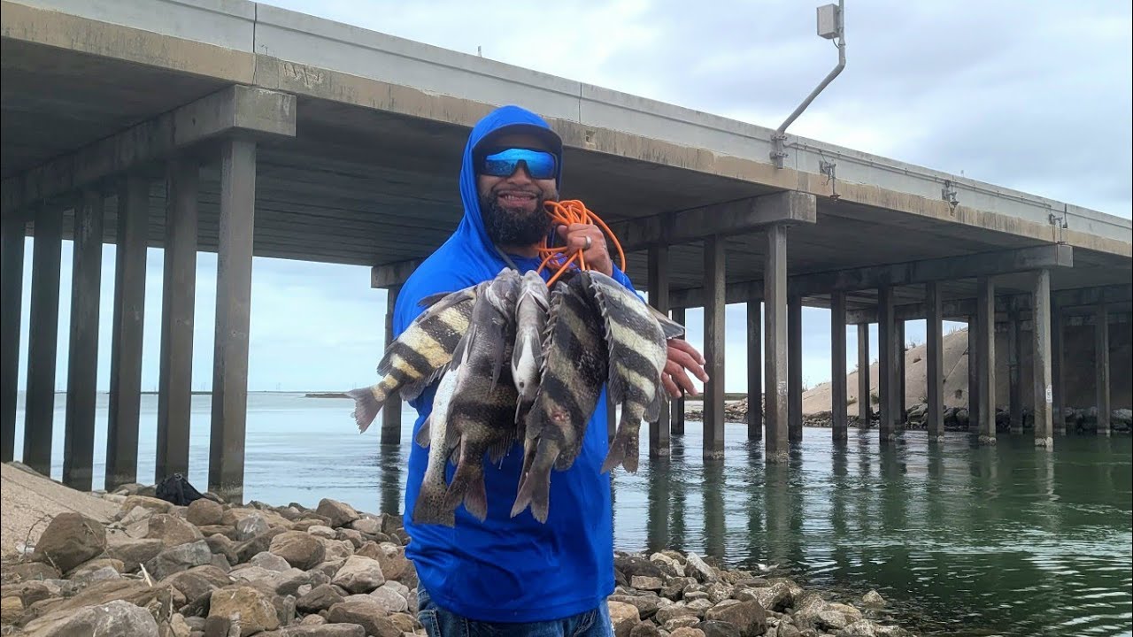 Ловля овечьей рыбы с моста (поймать и приготовить) в Корпус-Кристи, Техас, США