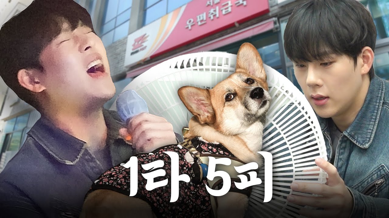 낯가리는 강아지, 광란의 노래방… 1일 5심부름 도전 | 착한심부름센터 심청이 Ep.08 [ENG]