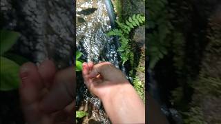 #civilengineering #fieldwork Search Source of Water supply #Method of irrigation