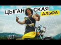 Купил самую ДОРОГУЮ Альфу в Турции!