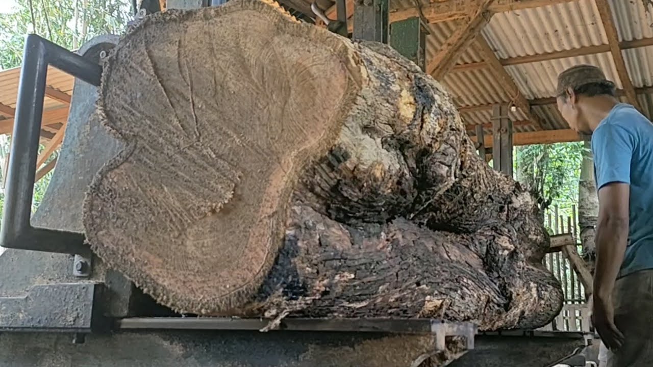 the most terrifying and expensive monster wood cutting process - YouTube