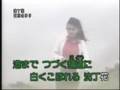 沈丁花