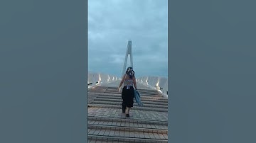 Thumbnail of Fisherman wraft bridge at Taiwan #tourism (Say you,Say me)#song #music #tou#travel #new