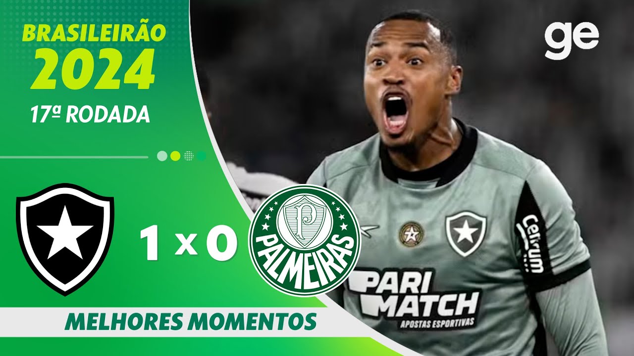 BOTAFOGO 1 X 0 PALMEIRAS | MELHORES MOMENTOS | 17ª RODADA BRASILEIRÃO ...