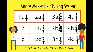 What is Hair Typing? | All About Hair Typing with Andre Walker&#39;s Hair Typing System