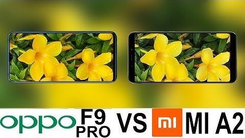 Oppo F9 Pro Vs Xiaomi Mi A2 Camera Test