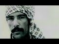 حبیب زاده
