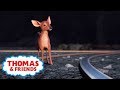 Thomas &amp; Friends UK ⭐Letting Animals Live In Peace⭐Life Lesson ⭐Cartoons for Kids
