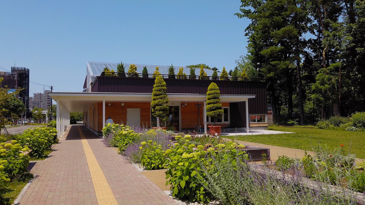 4k Walk In Toyohira Park Greening Botanical Garden Greenery Center 豊平公園 緑の センター 緑化植物園 Binaural Asmr Youtube