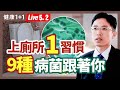 A肝、諾羅病毒、腸病毒可能在廁所傳染給人？！公廁的坐式馬桶、蹲式馬桶，哪一種才衛生？（2023.05.02）