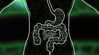 GI ProBalance®  Construye el Equilibrio para tu Bacteria Gastrointestinal