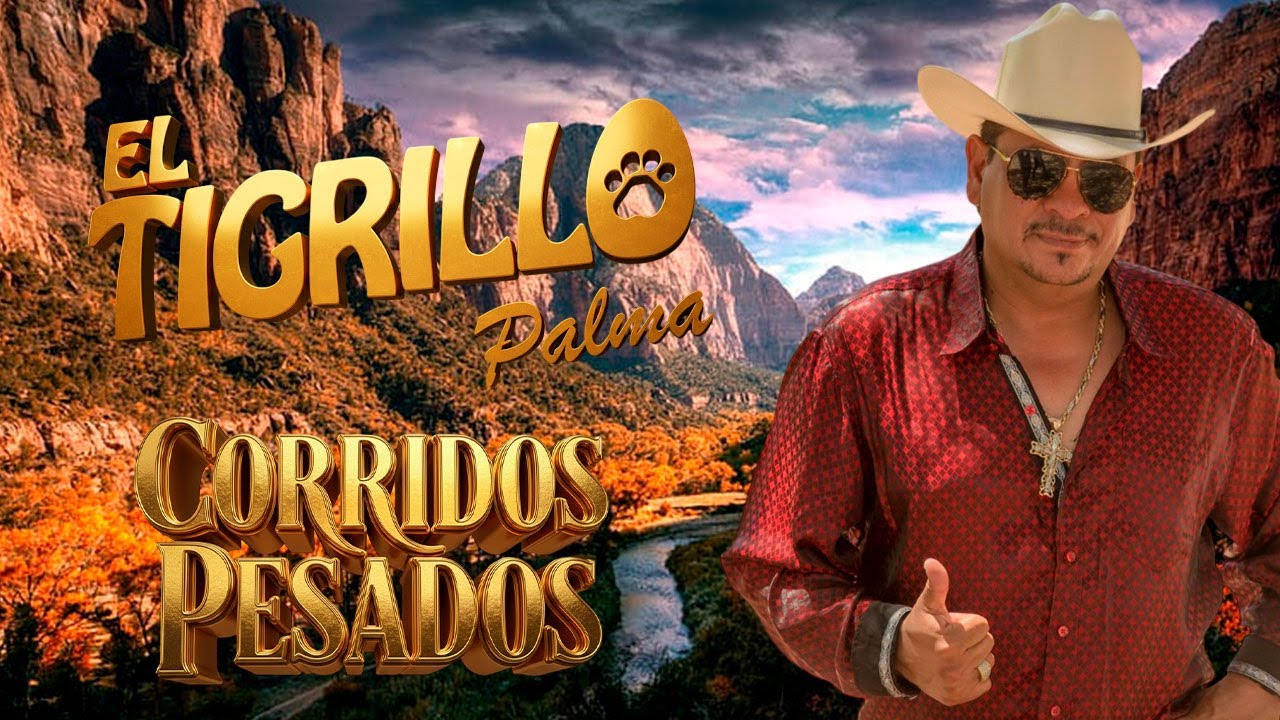 LO MEJOR de El Tigrillo Palma 💣 Corridos de Oro 🥇