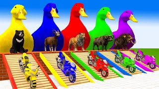 5 Giant Duck, Monkey, Piglet, chicken, dog, elephant, cow, Sheep, Transfiguration funny animal 2023