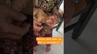 Minum obat dulu #fypシ゚viral #cat #cute