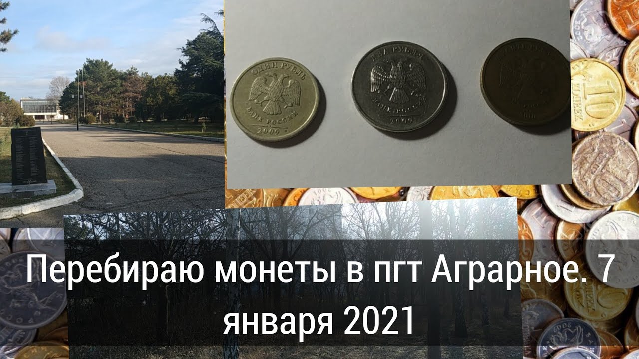 Перебираю монеты в пгт Аграрное. 7 января 2022