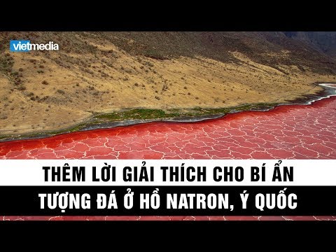 Video: Natron: Hồ Biến Mọi Sự Sống Thành đá