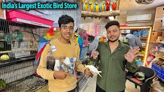 Most Exotic Birds Store in Mumbai | All India Delivery | Macaw, Toucans, Talking Parrrots etc.